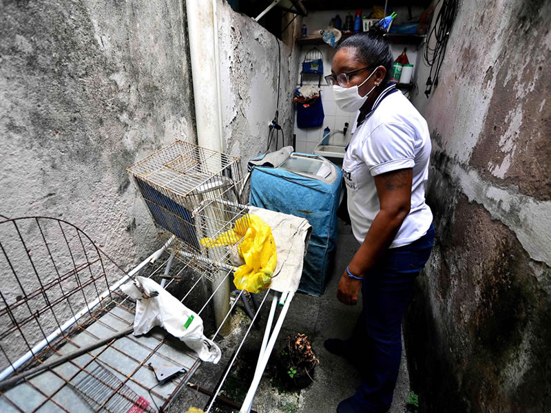 Salvador inicia ‘Semana Municipal de Mobilização contra o Aedes aegypti’ nesta segunda (14)