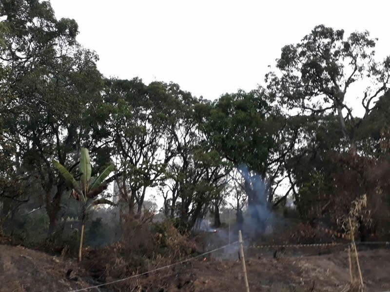 Área verde é desmatada em São Tomé de Paripe