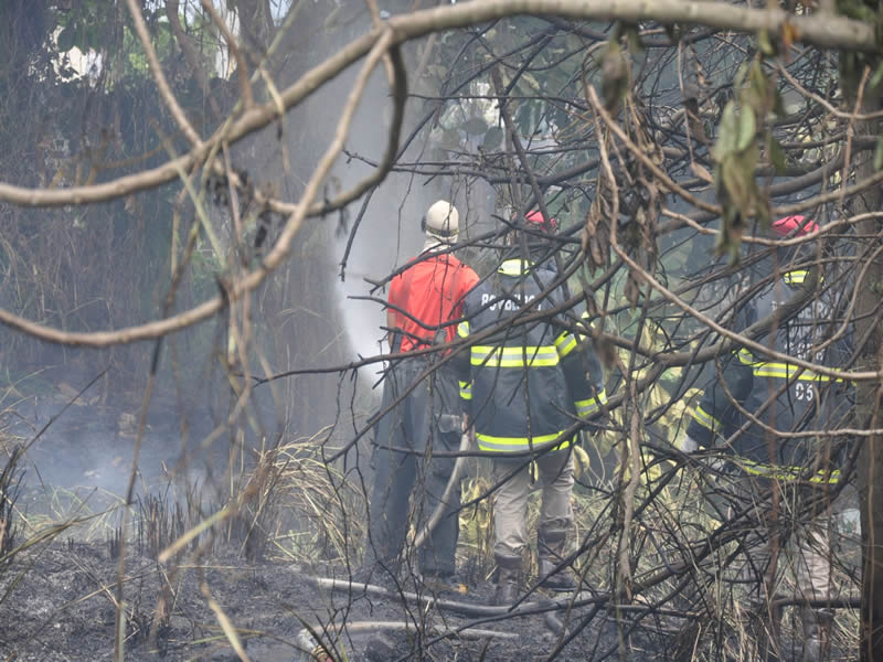 Incêndio em terreno, assustam moradores de Paripe