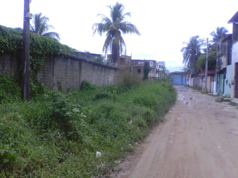 Descaso e abandono na Rua Travessa Joanita em Paripe