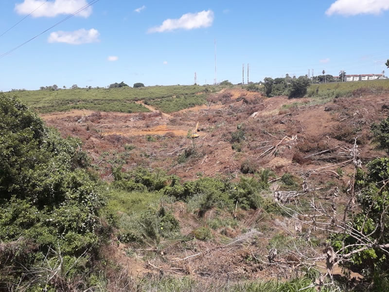 Desmatamento sem controle nos manaciais do Parque do São Bartolomeu na BA-528 