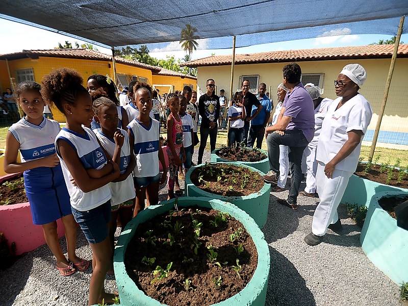  Ilha de Maré recebe primeira horta escolar da região