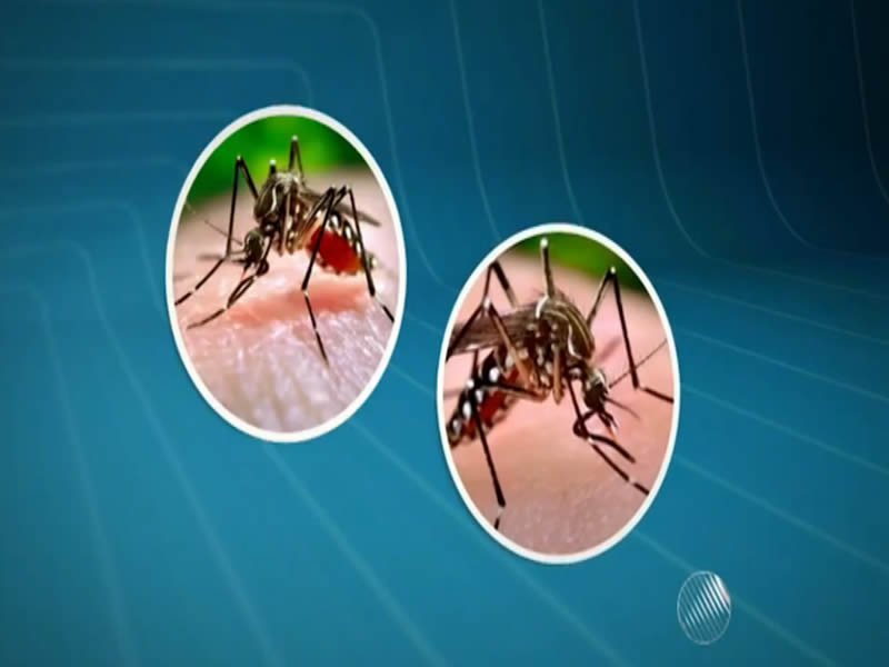 11 moradores do bairro Praia Grande estão com suspeita de chikungunya